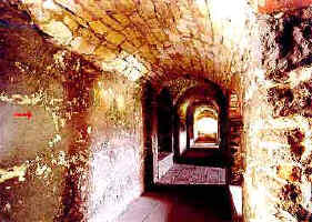 hlavn� chodba "Ku�� nohy"