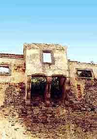 ...pikn�sek, smoln� nos