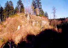 celkov� pohled na zadn� stranu hradn� lokality